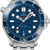 Omega Seamaster Diver 300M Co-Axial 210.30.42.20.03.001